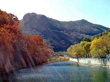 新澳天天开奖资料大全旅游团，泛目录出租